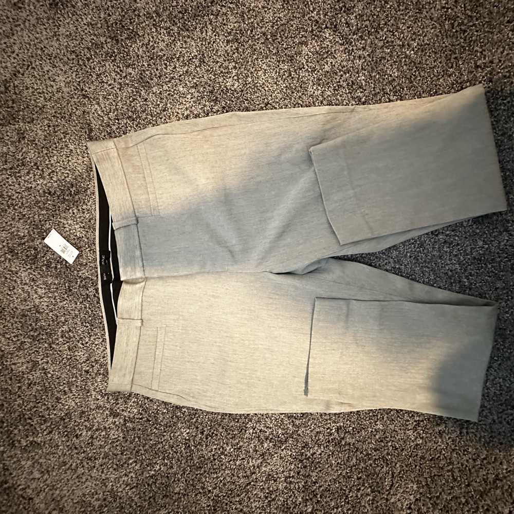 NWT! Banana republic Sloan pants
